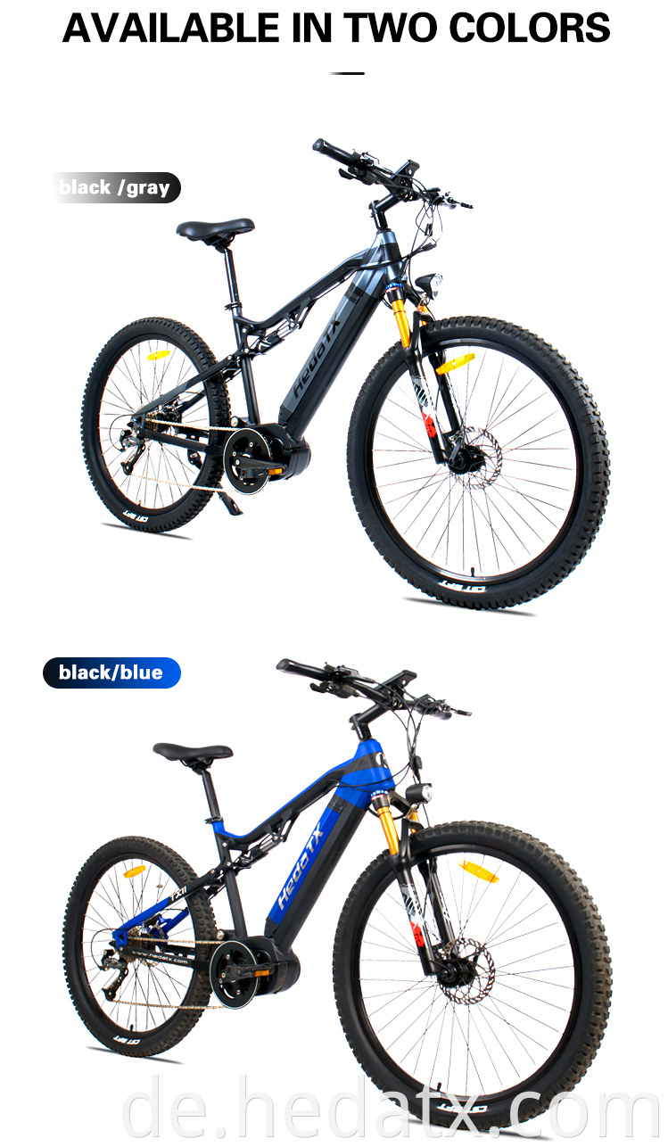 Mountain Electric Bike